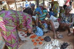benin4532 benin4532