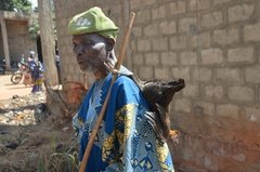 benin4535 benin4535
