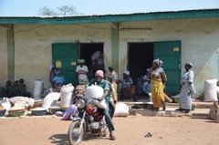 benin4536 benin4536