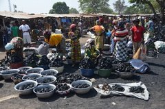 benin4537 benin4537