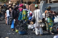 benin4538 benin4538