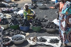 benin4540 benin4540
