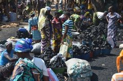 benin4541 benin4541