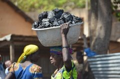 benin4544 benin4544
