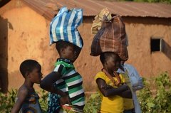 benin4586 benin4586