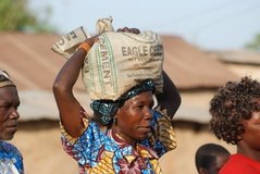 benin4589