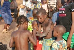 benin4611 benin4611