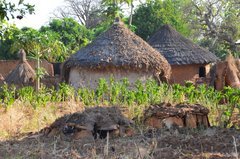 benin4751