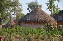 benin4752 benin4752
