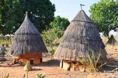 benin4753 benin4753