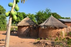benin4757 benin4757