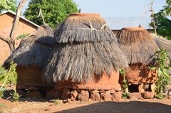 benin4762 benin4762