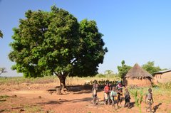 benin4767