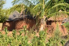 benin4768 benin4768