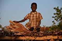 benin4770