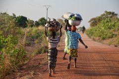 benin4771 benin4771