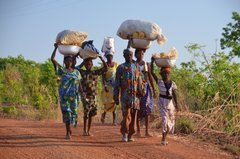 benin4774