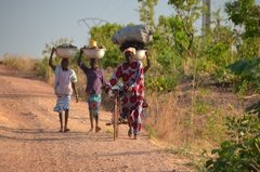 benin4775 benin4775
