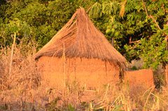 benin4781