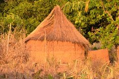benin4781 benin4781
