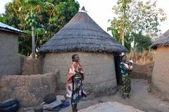 benin4785 benin4785