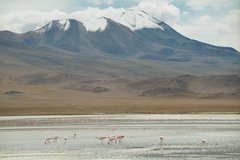bolivia2532