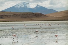bolivia2535