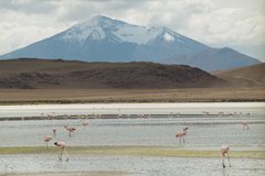 bolivia2536