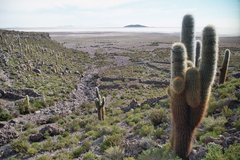 bolivia3100