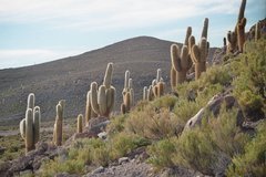 bolivia3103