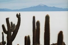 bolivia3142