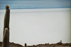 bolivia3159