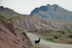 bolivia3261