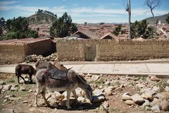 bolivia3775