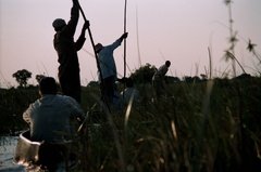 botswana1013