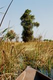 botswana1016