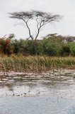 botswana1020