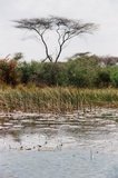 botswana1020