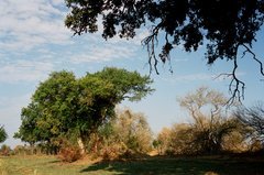 botswana1022