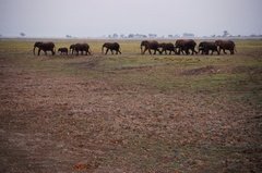 botswana1048