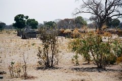botswana1065