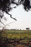 botswana1070
