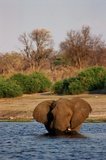 botswana1106