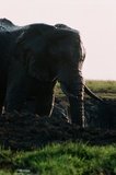 botswana1109