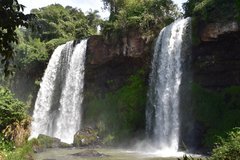 brazilie8057