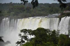 brazilie8060