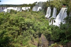 brazilie8061