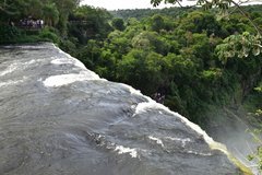 brazilie8065