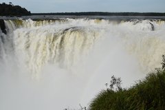brazilie8077