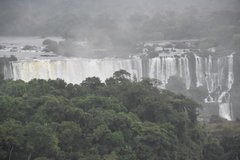 brazilie8302